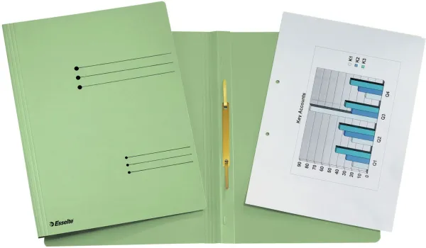Esselte work binders A4
